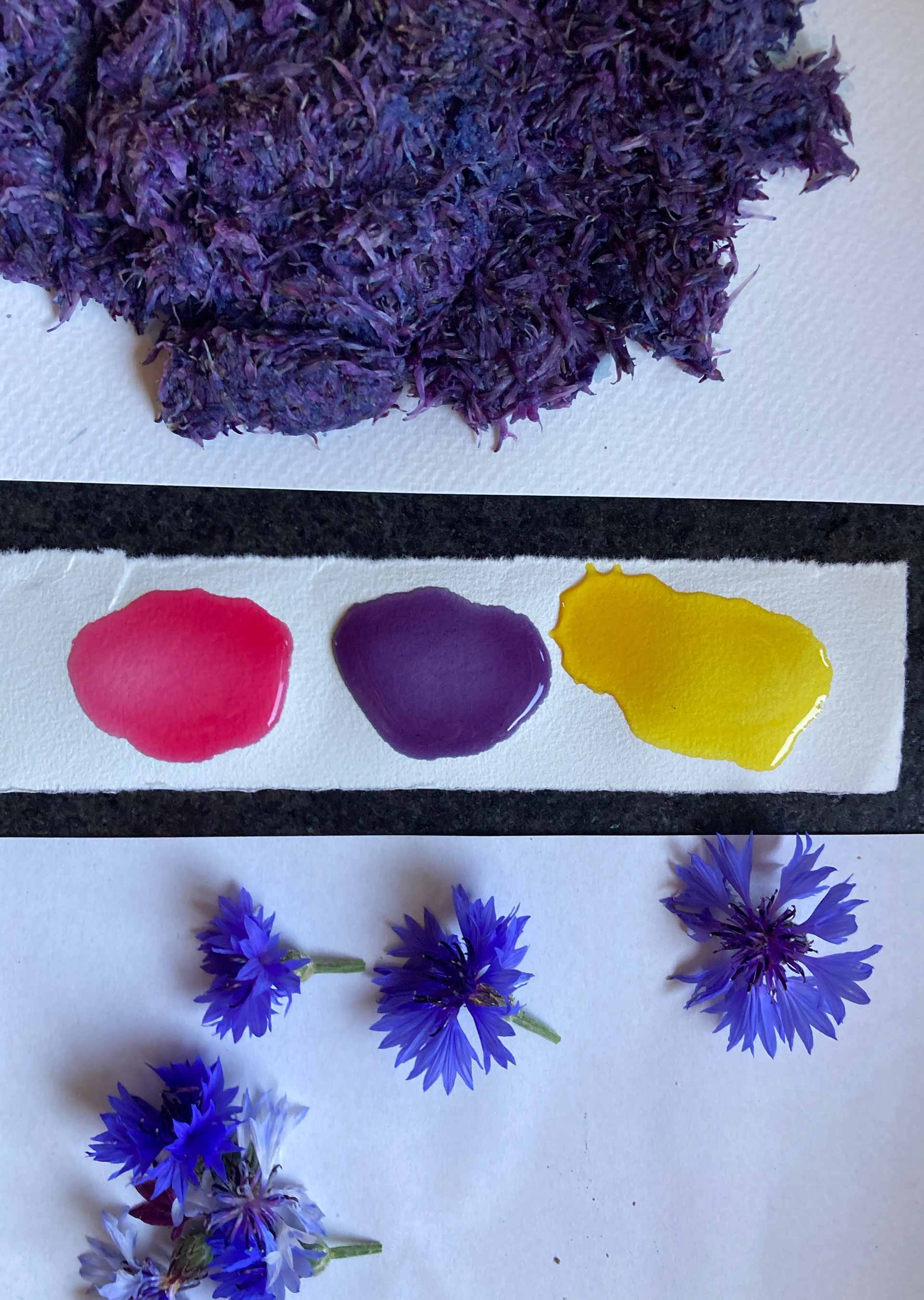 different shades of cornflower ink