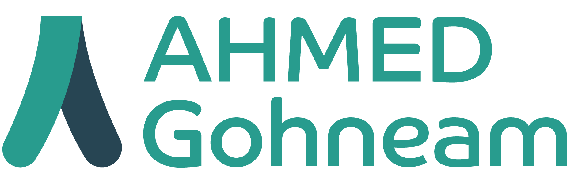 Ahmed Ghoneam