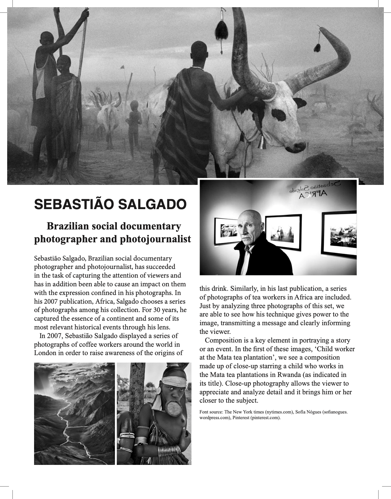 Sebastião Salgado article
