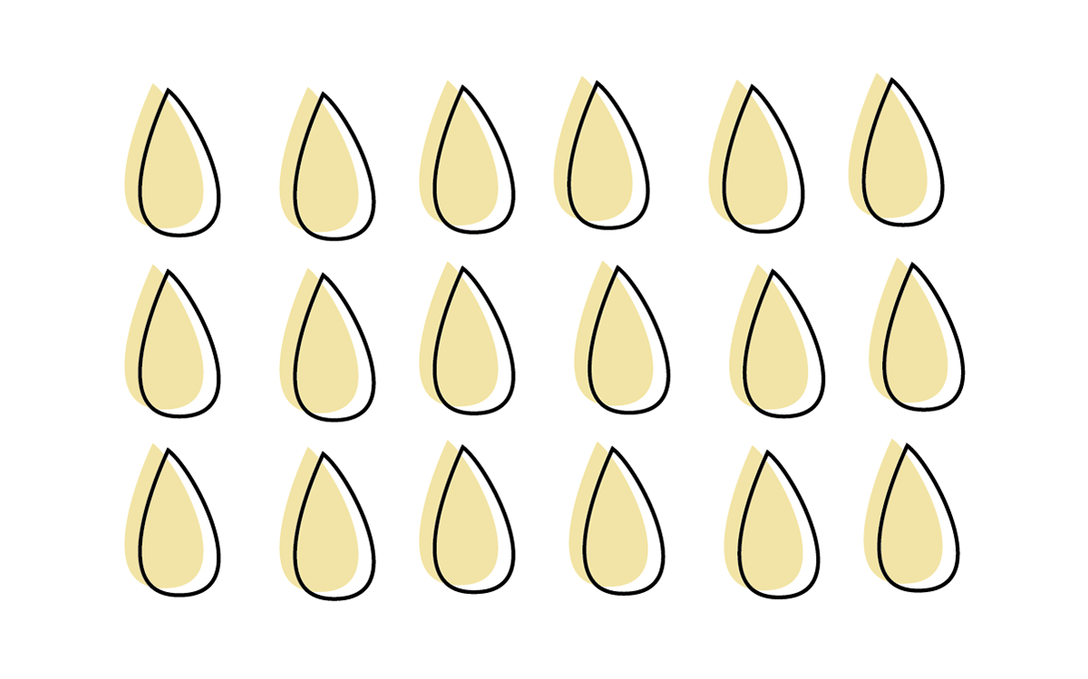 Pattern & Color exploration