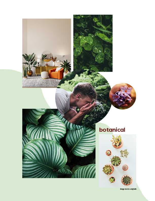 Botanical mood board