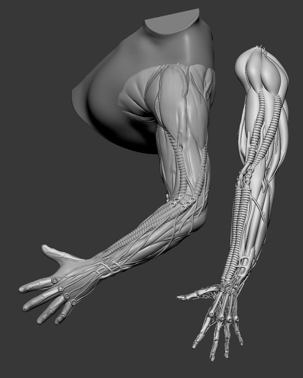 My digital 3D work on Alien Earth: Morrow’s Art (Babou Ceesay) - repositioning the 3D design (Design not by me) to get it to thickness so that the silicone could be ran, cleaning up the actors arm 3D scan, making the digital core and moulds for the multiple layers. The MFX team did an amazing job bringing it practically to life. All work for Millennium FX. Casting and painting done by MFX.