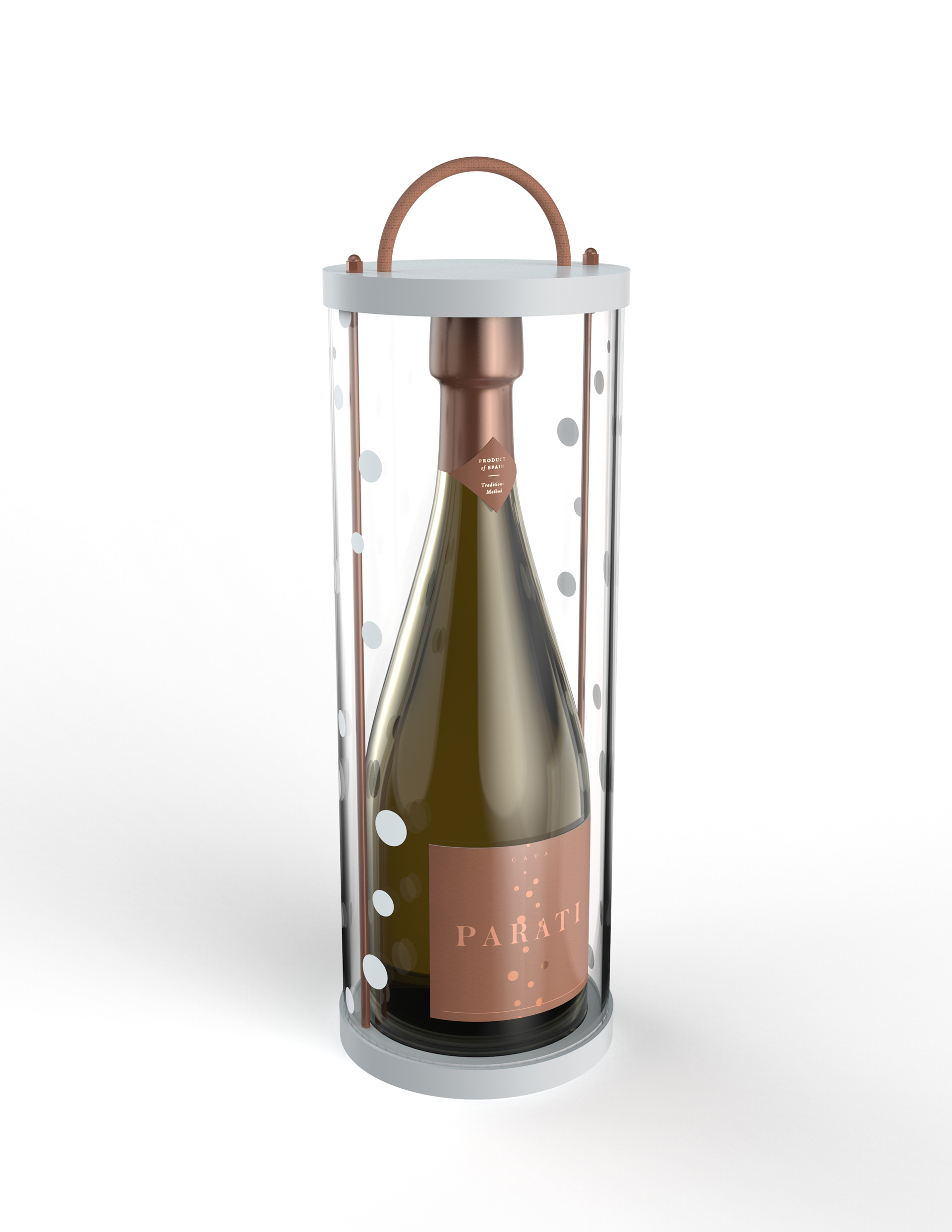 Parati Influencer A | 3D Model and Rendering