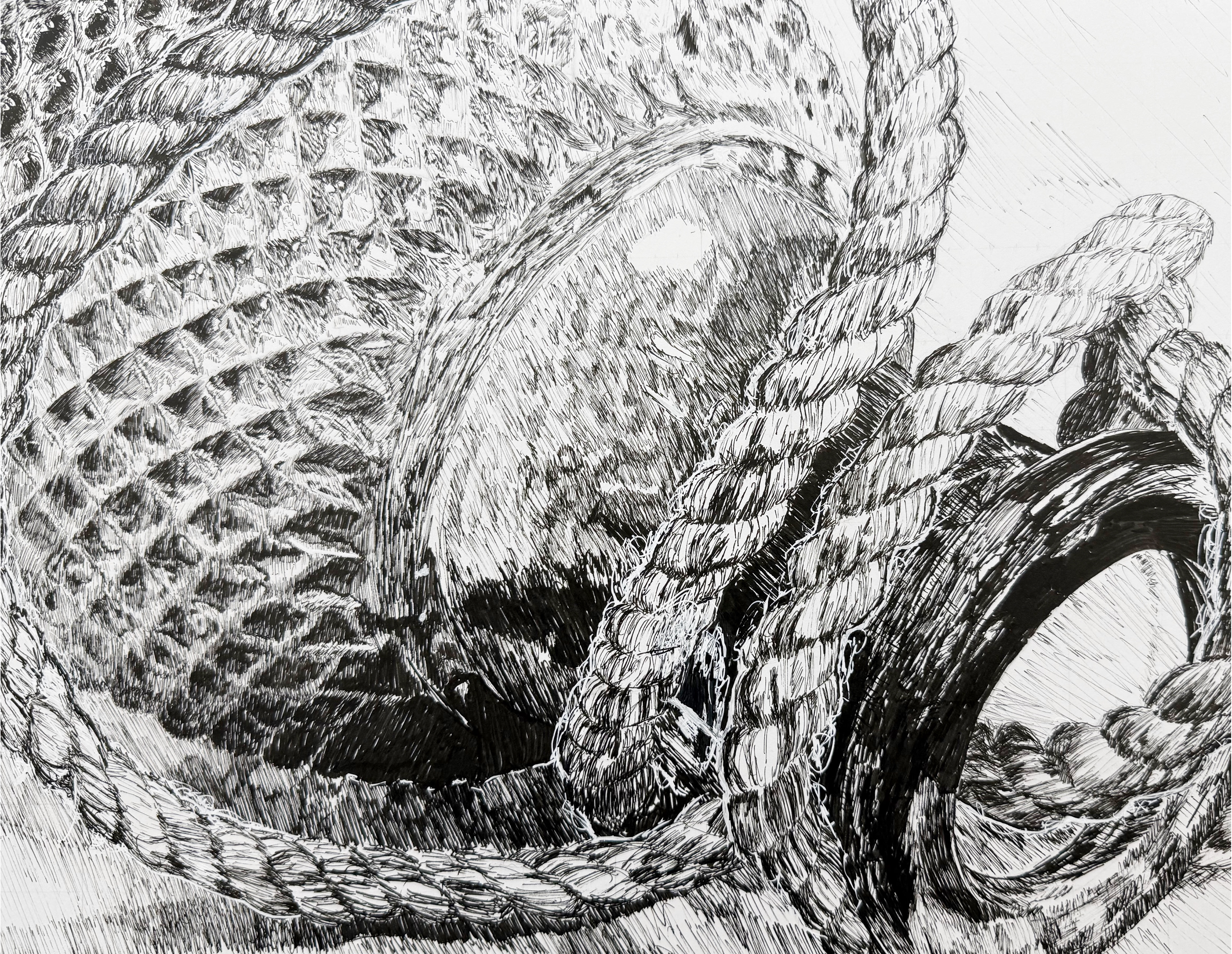 🖼 Drawing II — “Line & Form: Balance” 🎨 Pen and ink 🧠 Macro line investigations describing three-dimensional form with compositional stability.