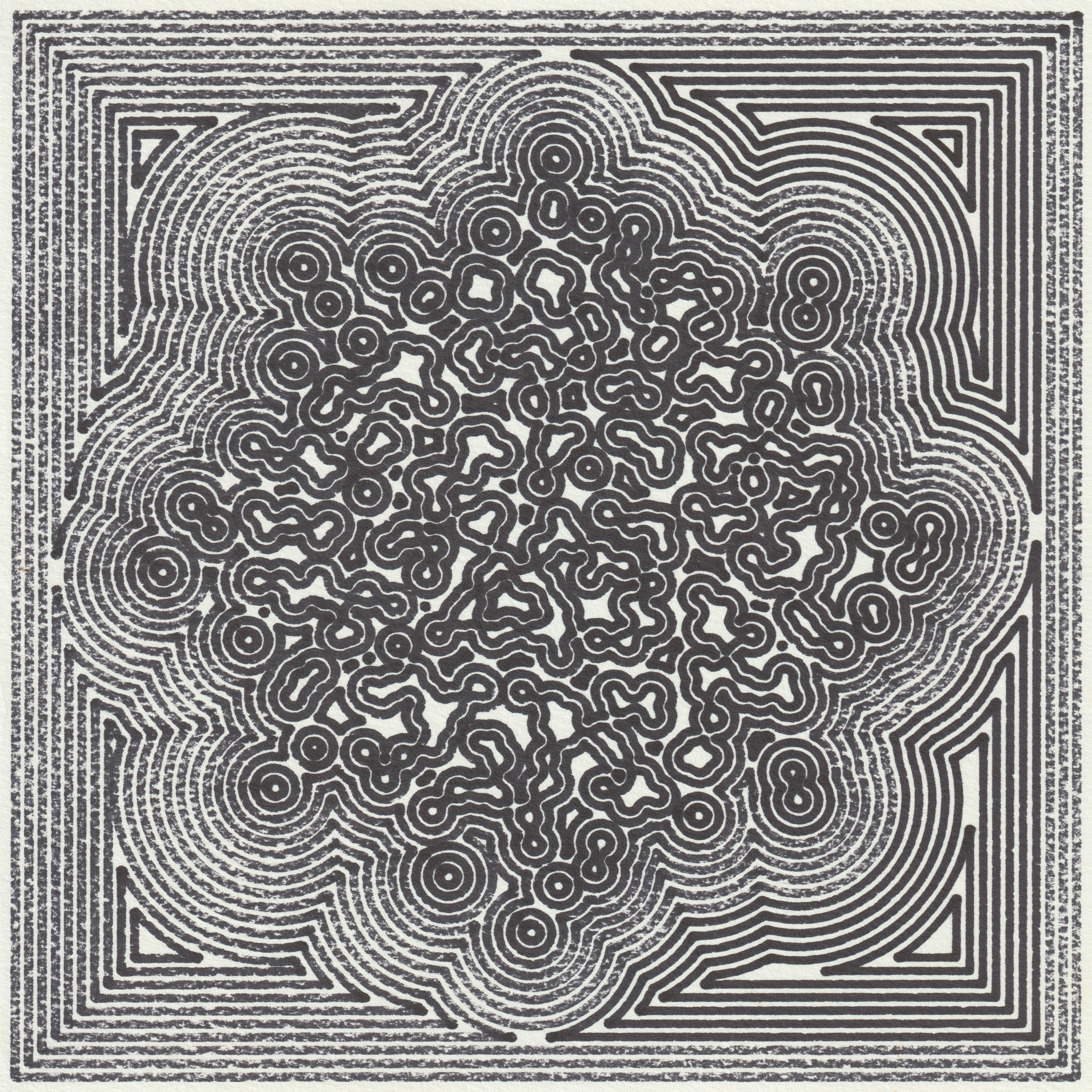 Organizing Organism