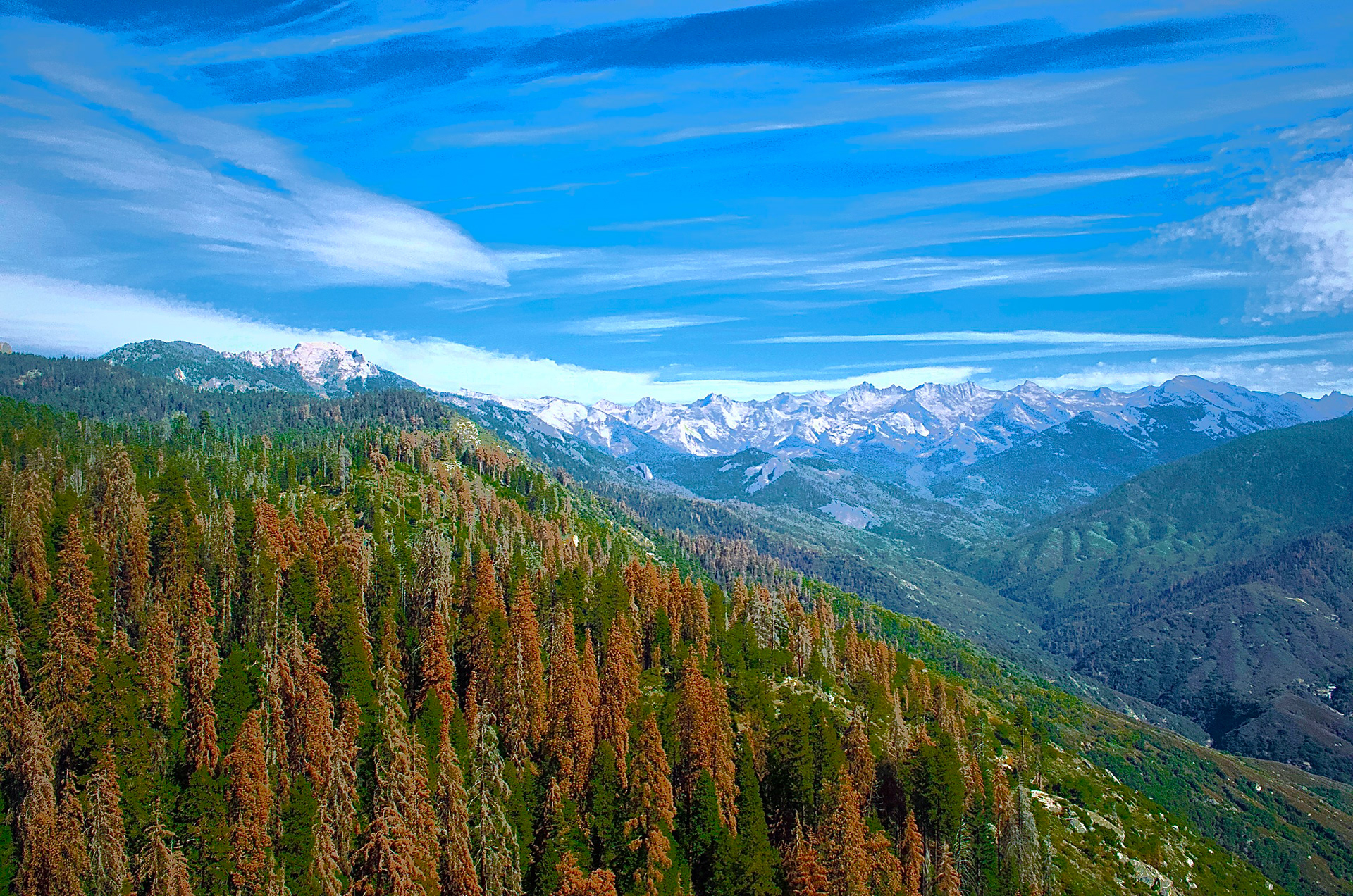 Sequoia National Park, California