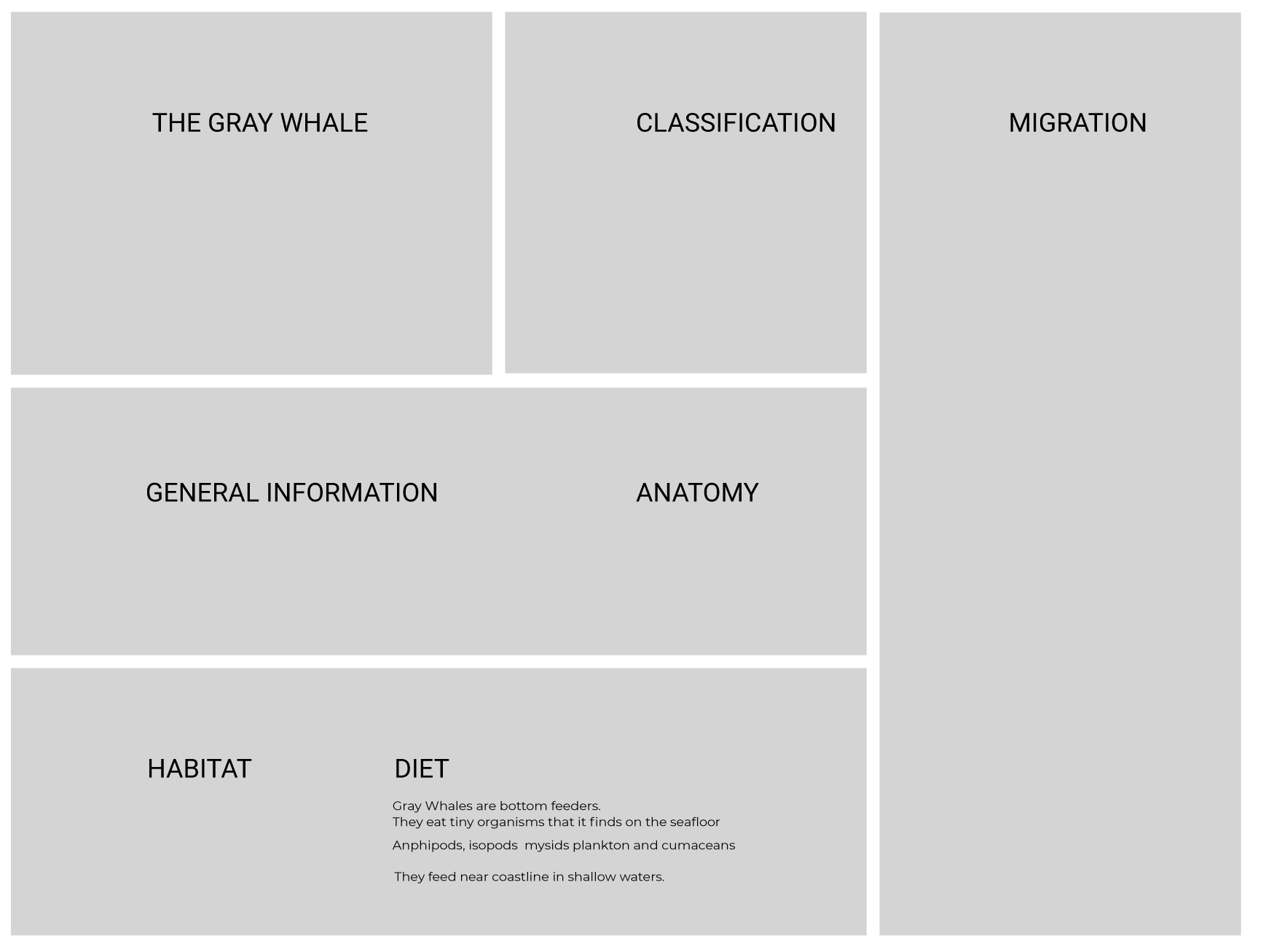Narrative Board 1