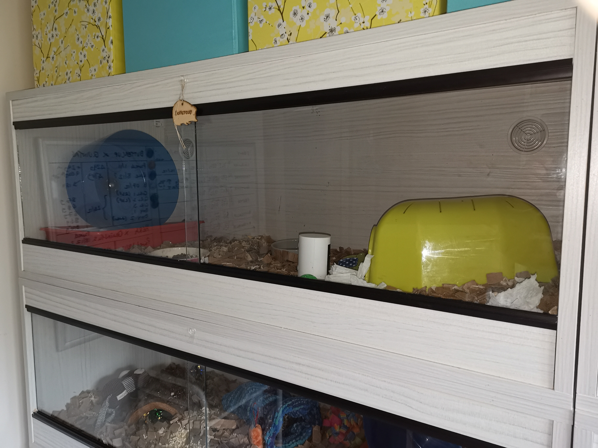 Vivarium