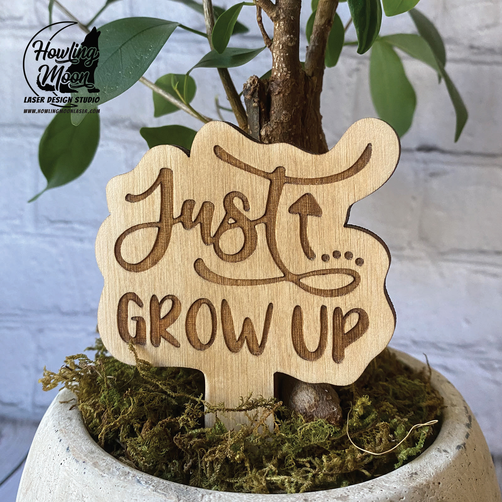 Garden Accessories & Gifts