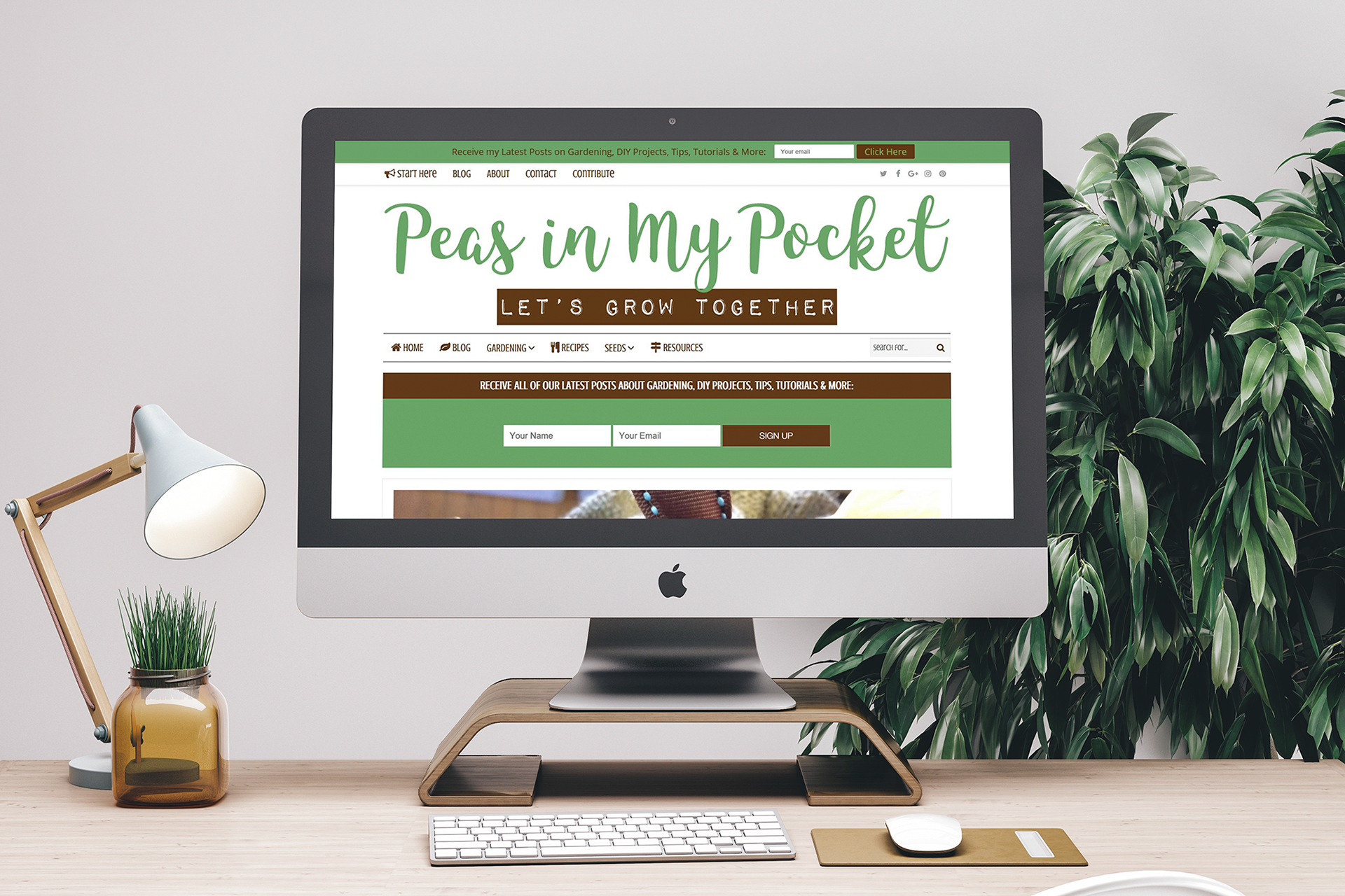 Peas in My Pockets - Informational Website + Blog