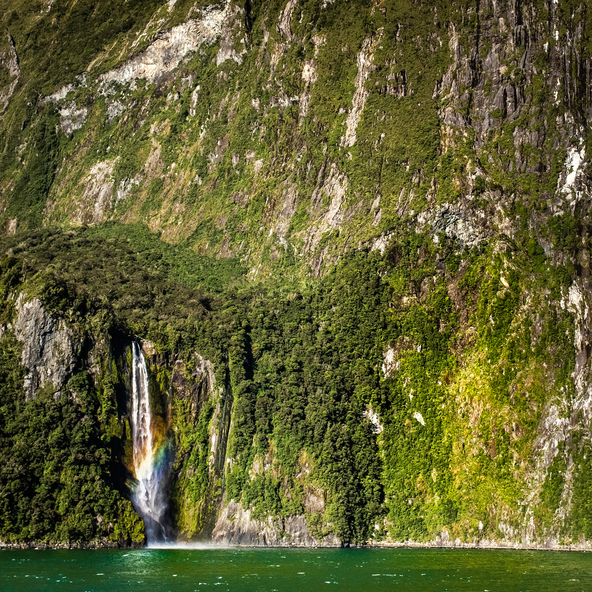 Fiordland