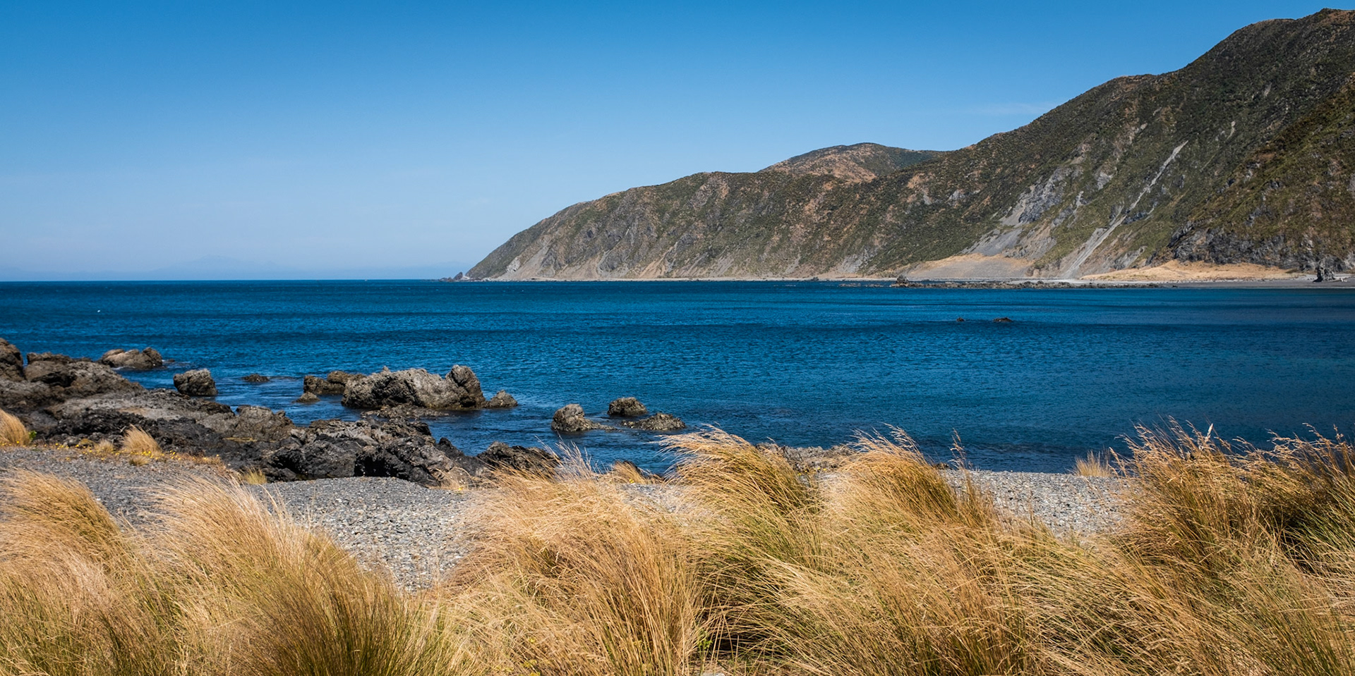 Wellington