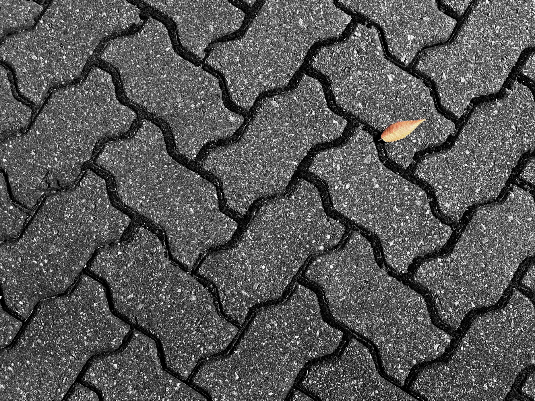 Blue Ribbob - Patterns Dec4, 2010