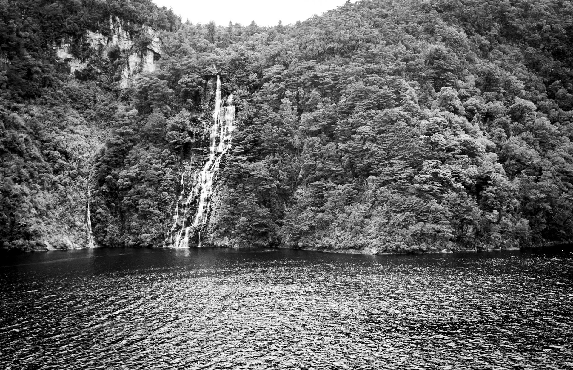 Fiordland