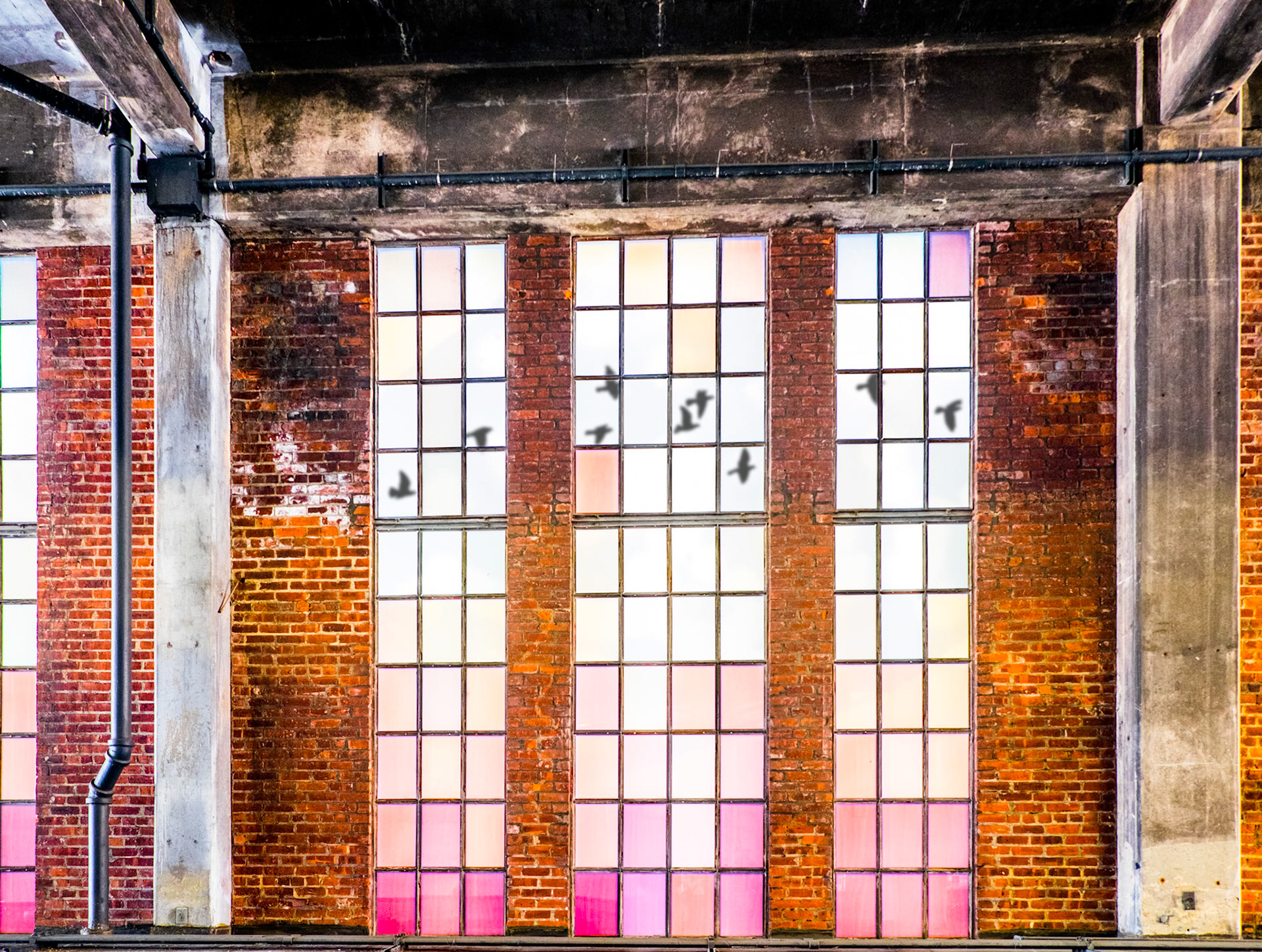 Gold Ribbon - Windows Oct 6, 2015