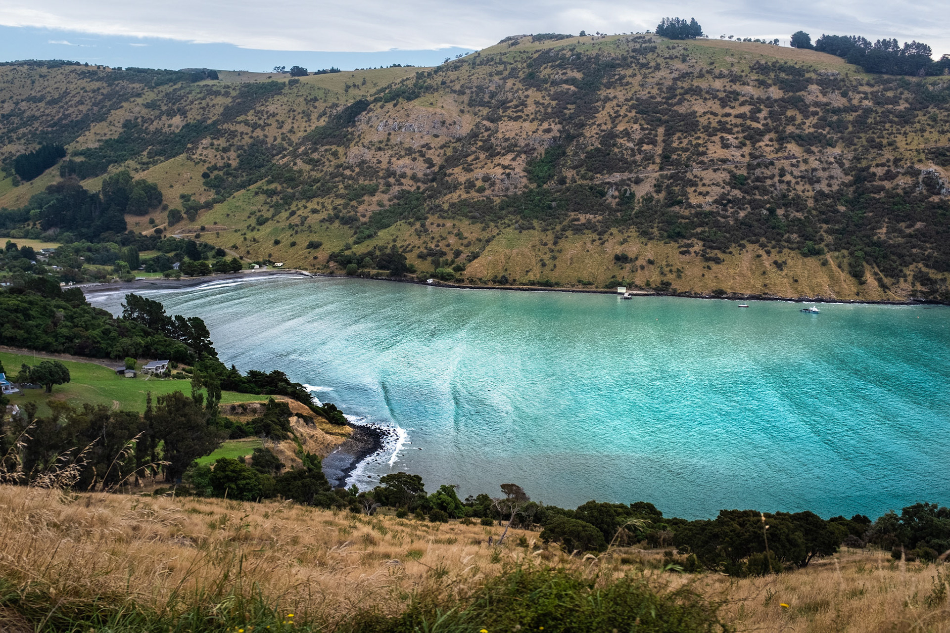 Akaroa