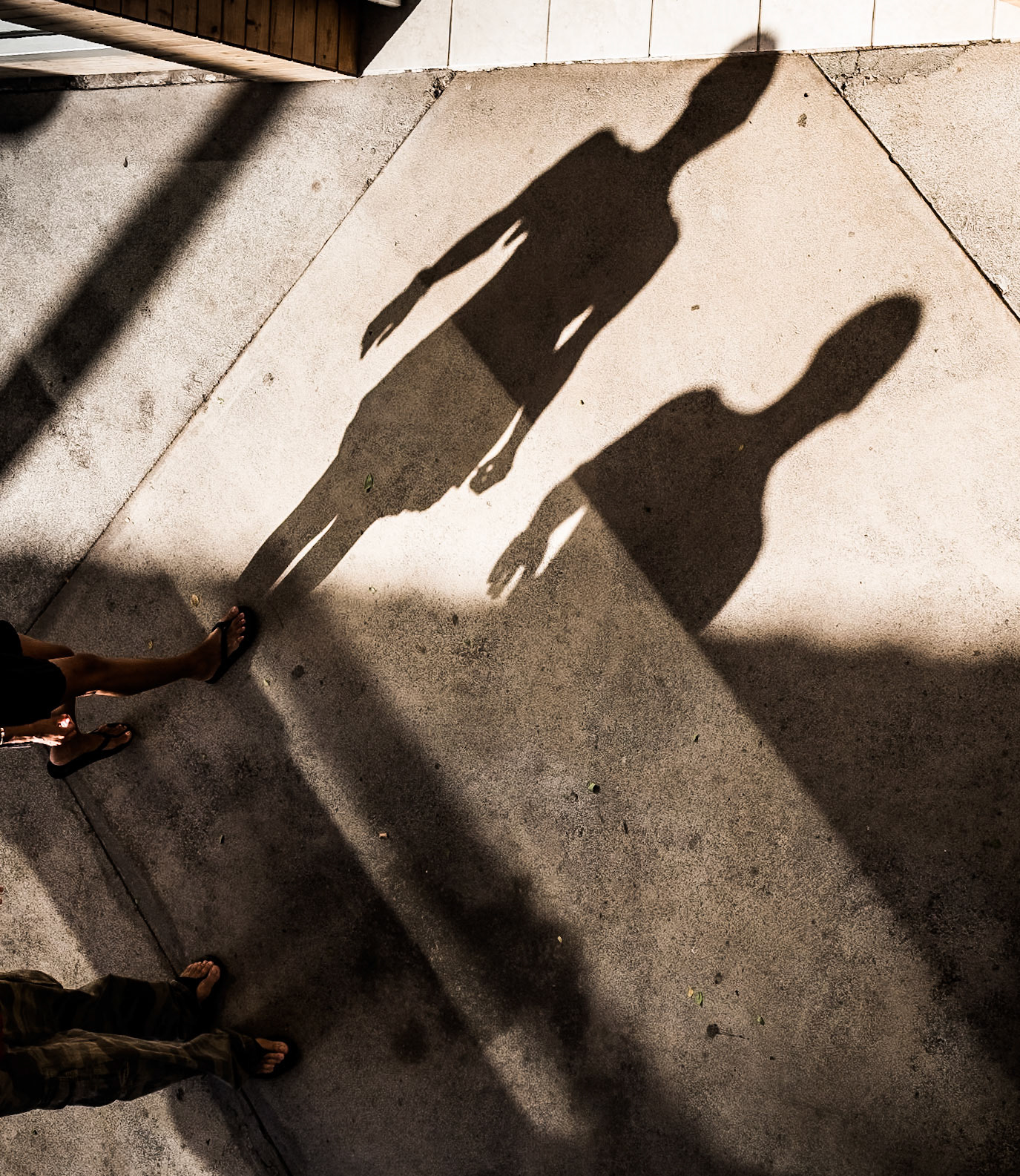 Red Ribbon - Shadows 02/01/2013