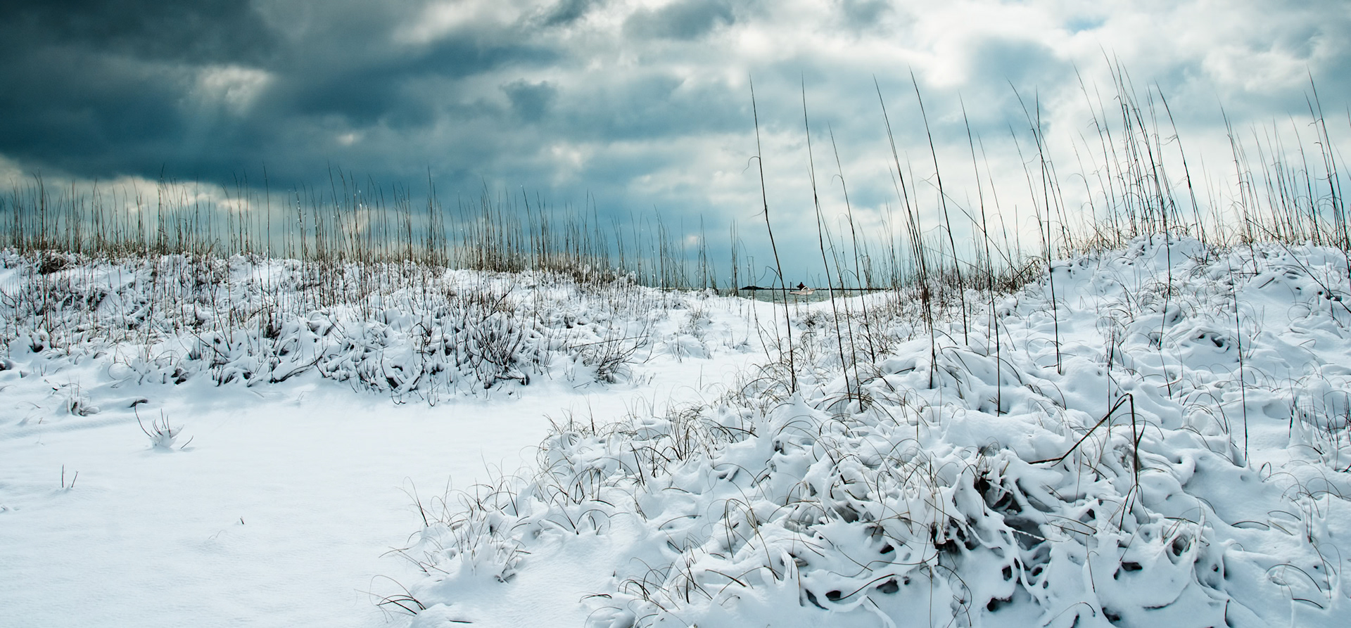 Blue Ribbon - Landscapes May 3, 2011