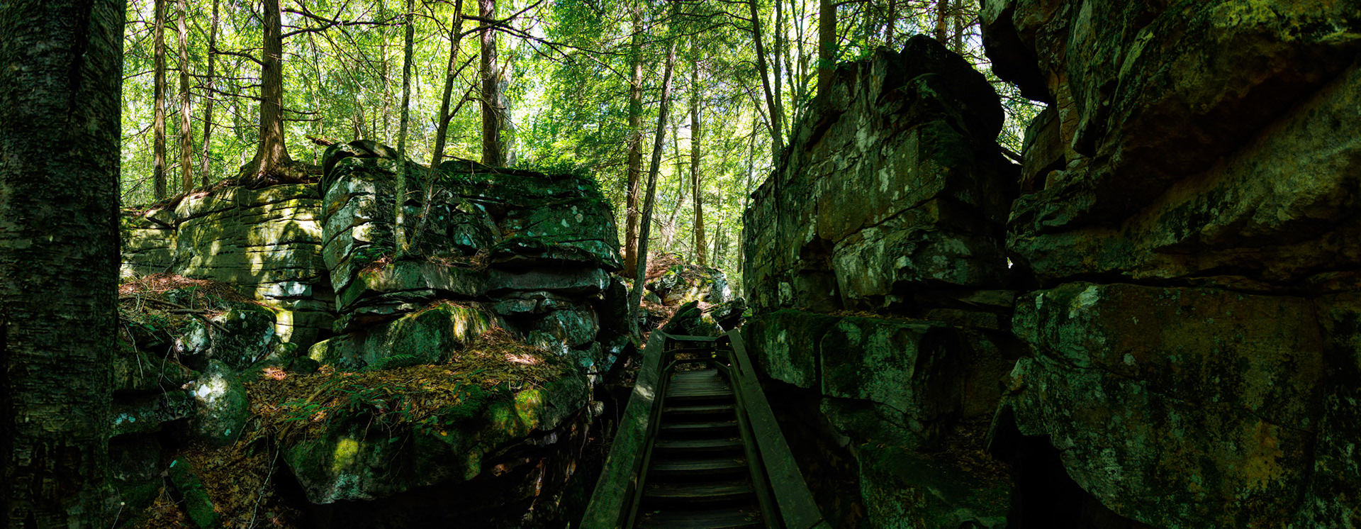 Beartown State Park, WV
