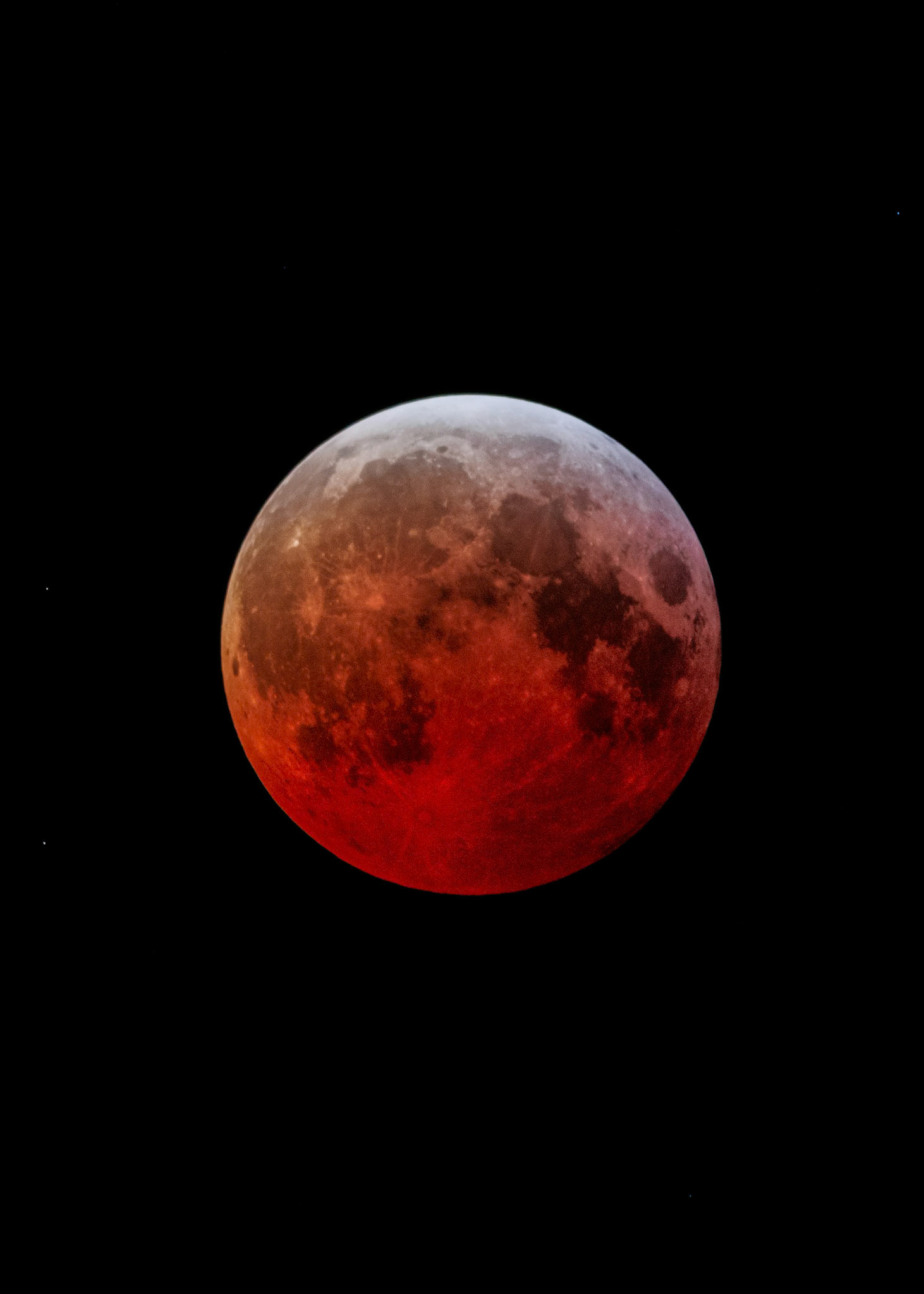 Total Lunar eclipse, March 2025, taken from my yard. This is a stack of several images taken during the eclipse to bring out the contrast and detail.