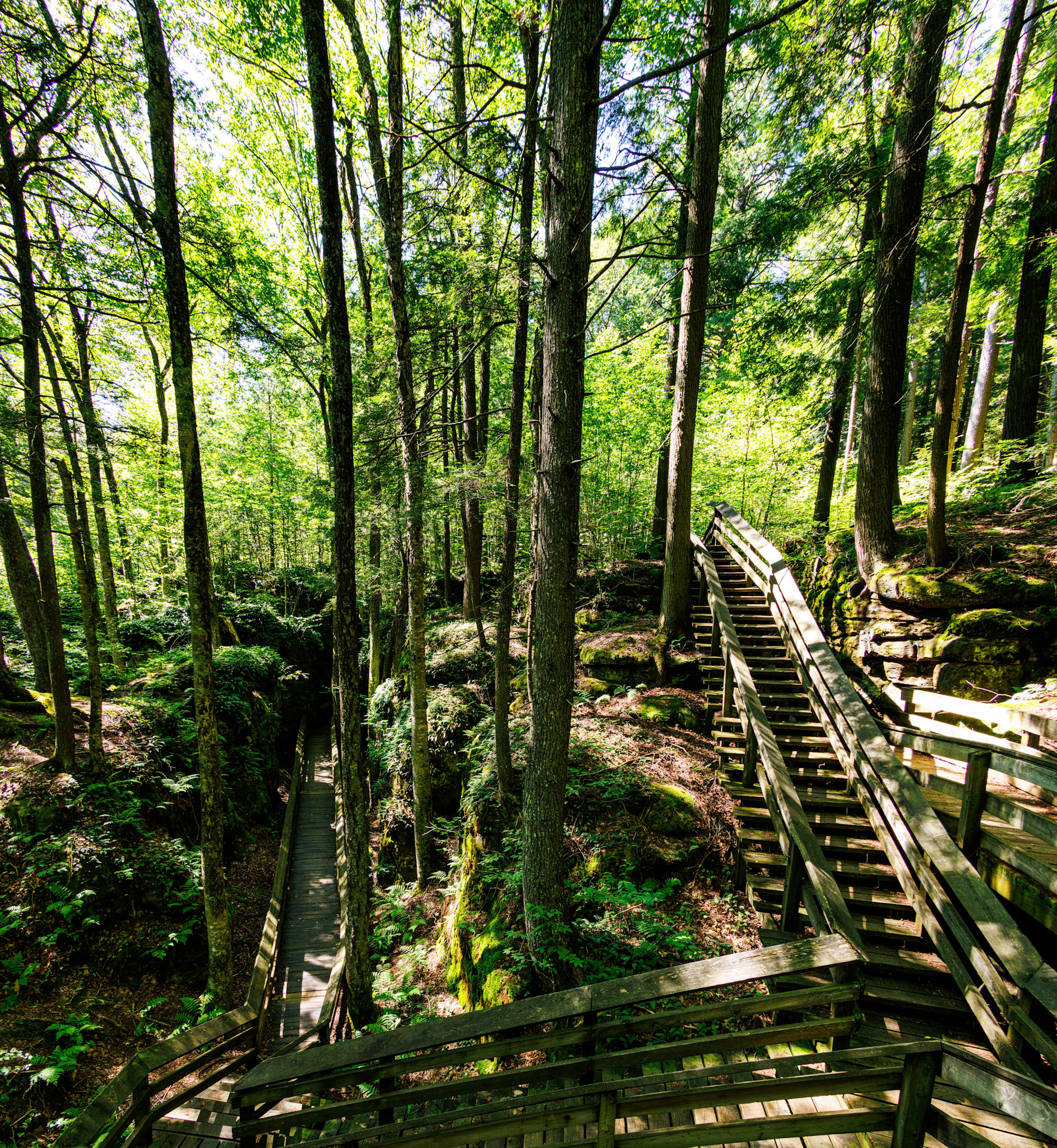 Beartown State Park, WV