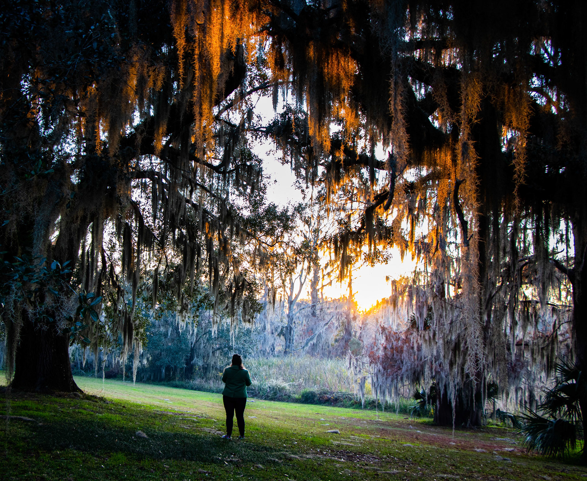 Brookgreen Gardens in Murrell's Inlet, SC at sunset