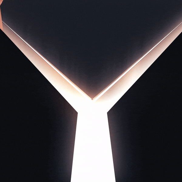 Y