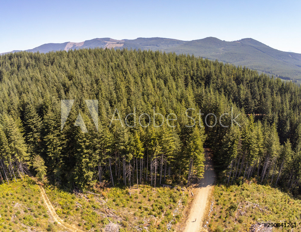 Washougal, WA