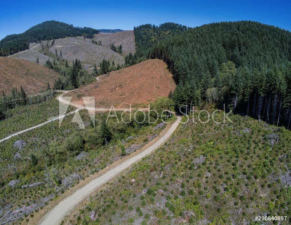 Washougal, WA