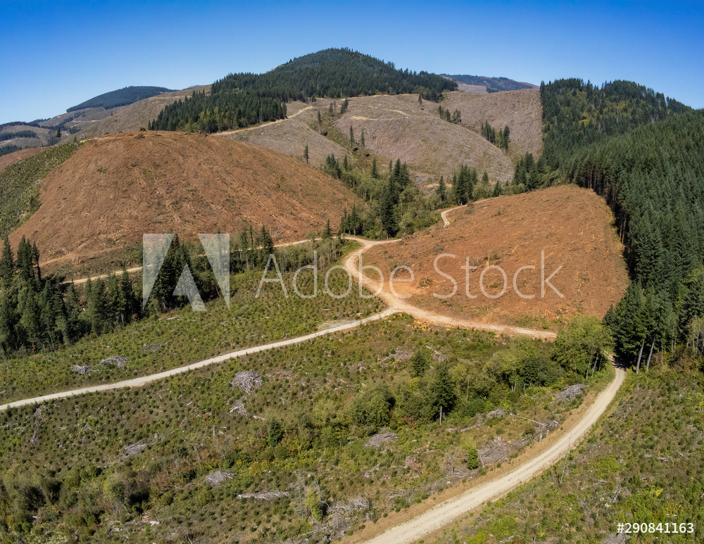 Washougal, WA