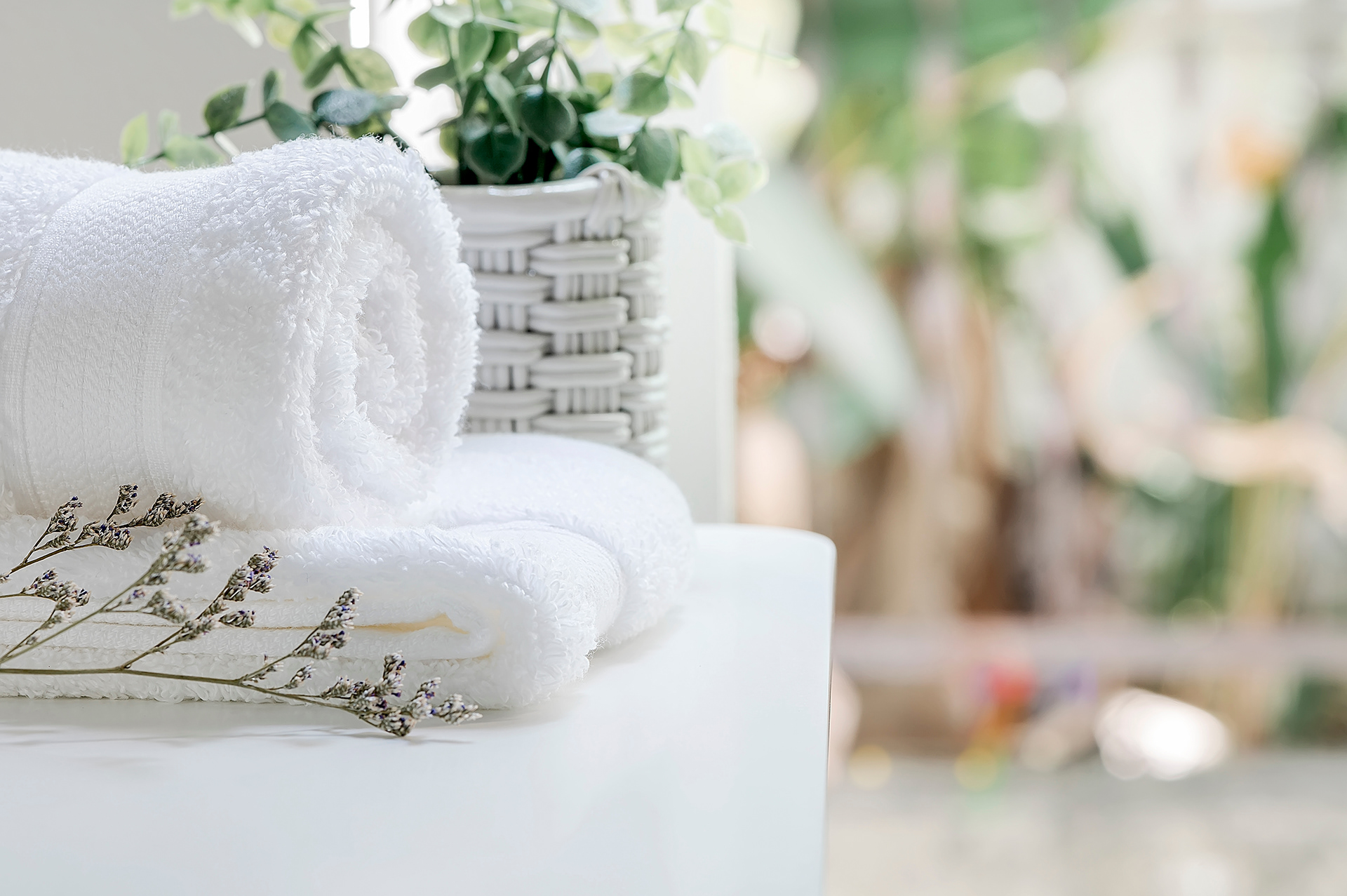 Dreamcatcher Property Staging