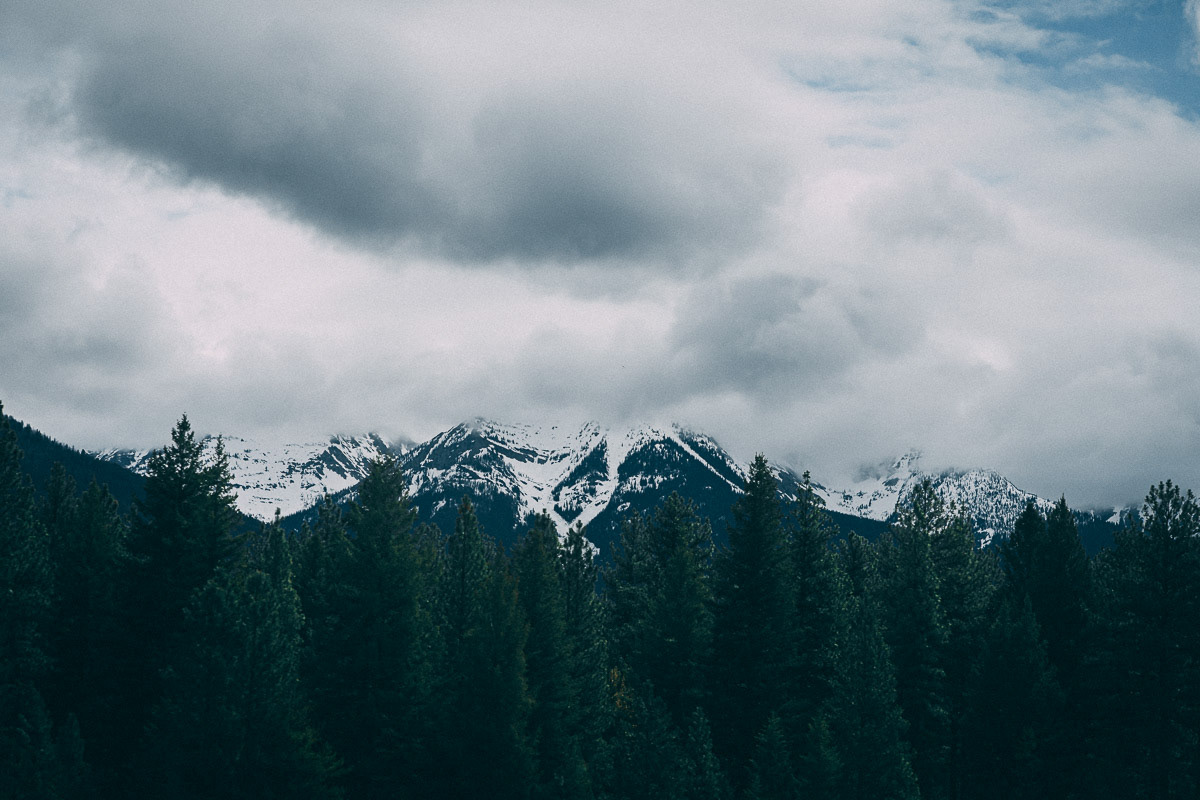 Montana