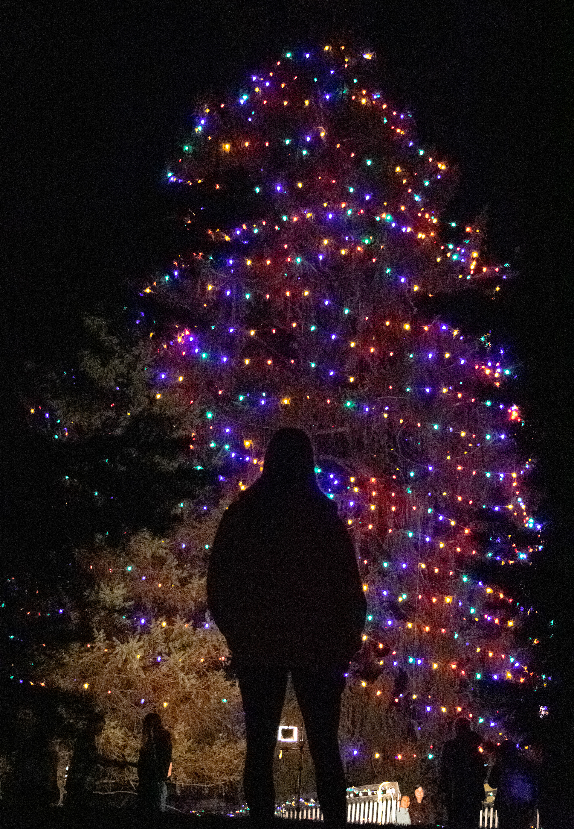 A Blacksburg resident watching the Christmas Tree Lighting Ceremony on December 3rd, 2021. The ceremony takes place every year on the first Friday of December.