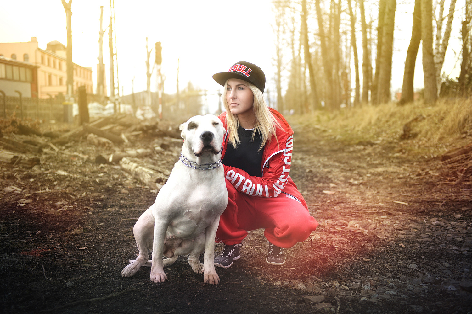 Pit Bull 