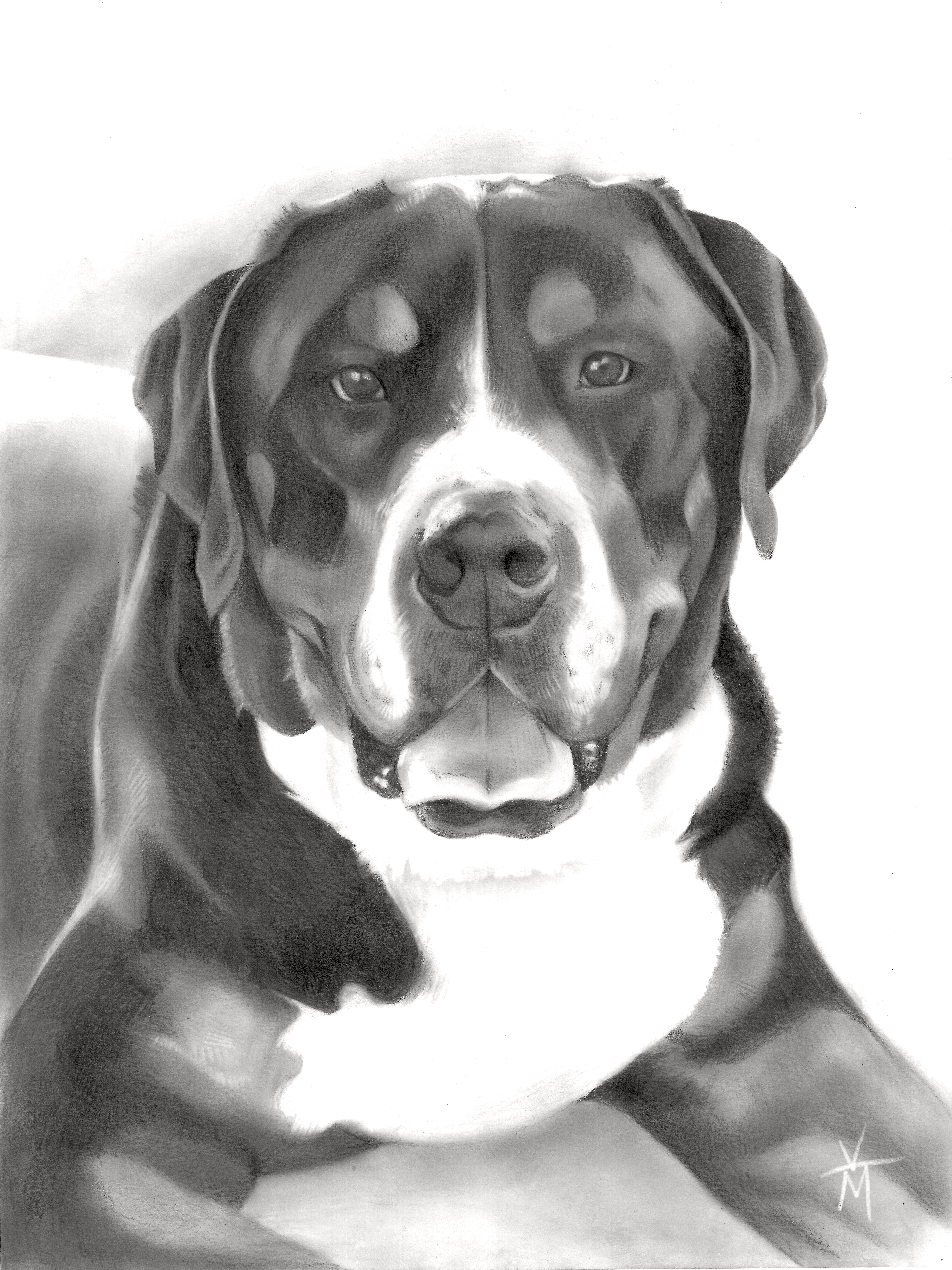 Client Commission - Blazer; Graphite, 2026