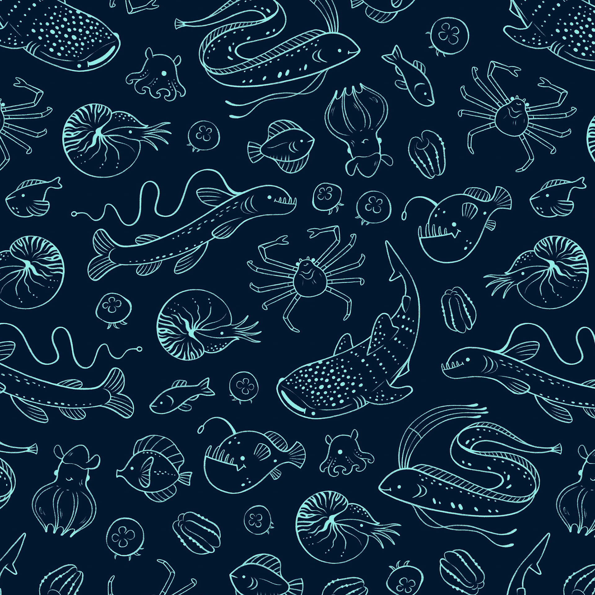 Assembled in Illustrator