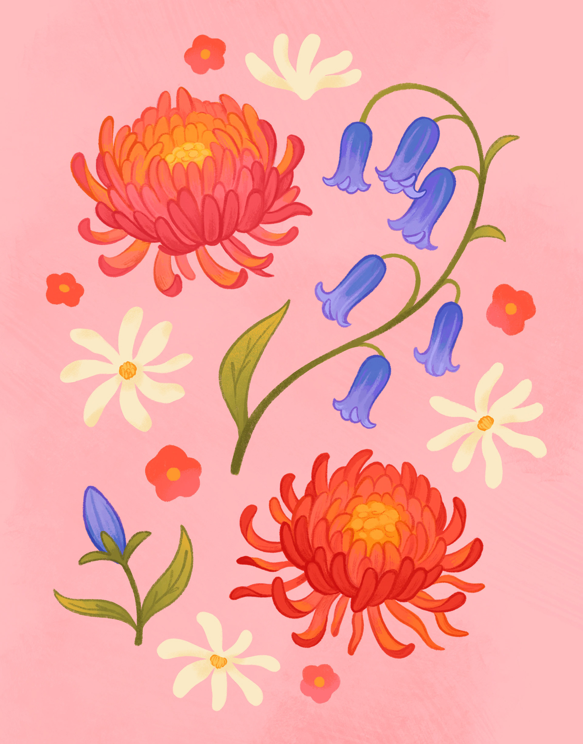 Texas Flowers; Procreate, Photoshop, 2024