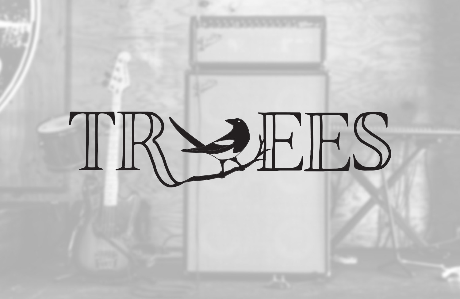 Bird in the Trees (Folk/Indie Band)