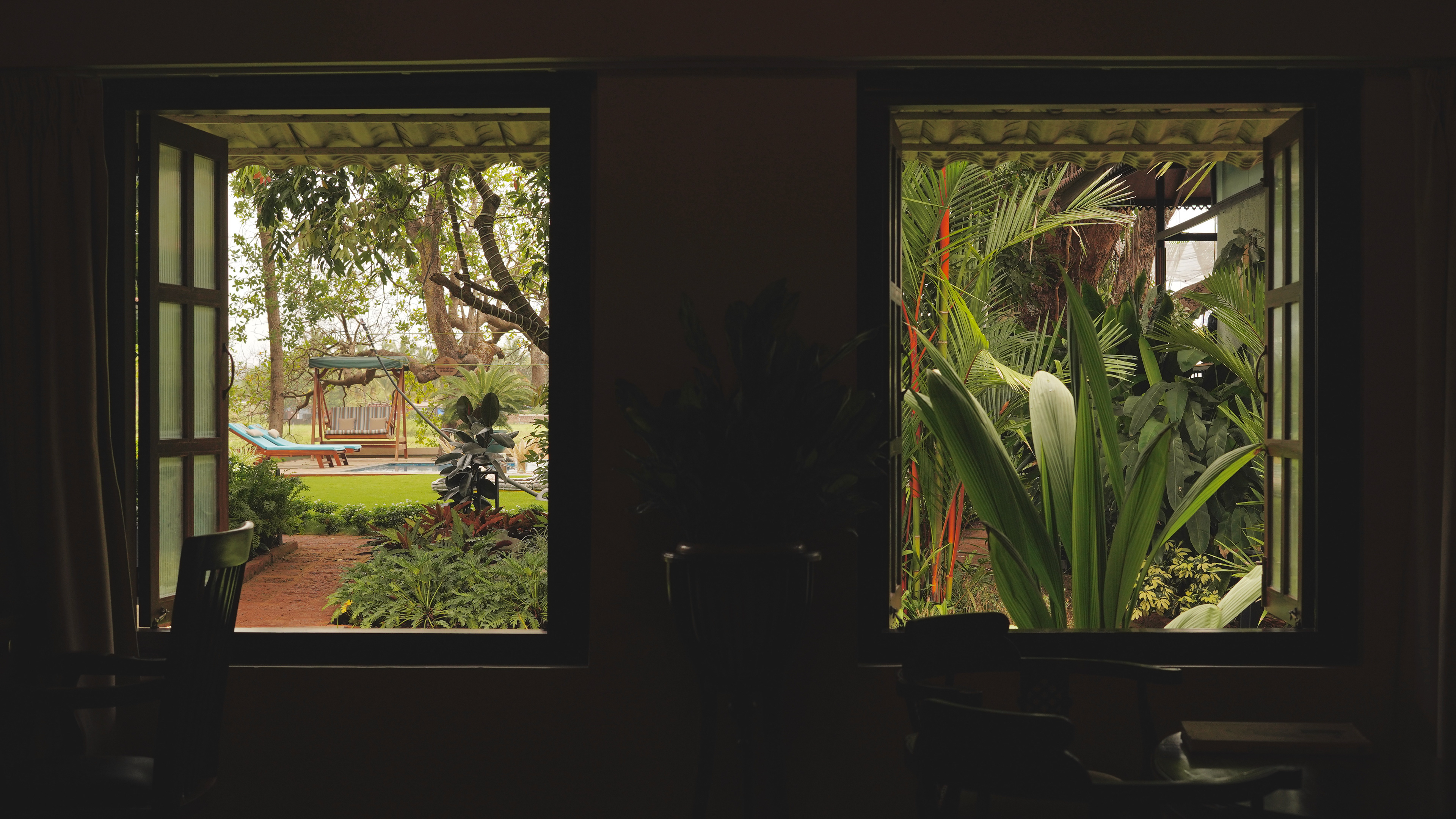 Window views