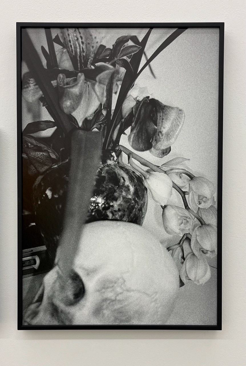 António Júlio Duarte