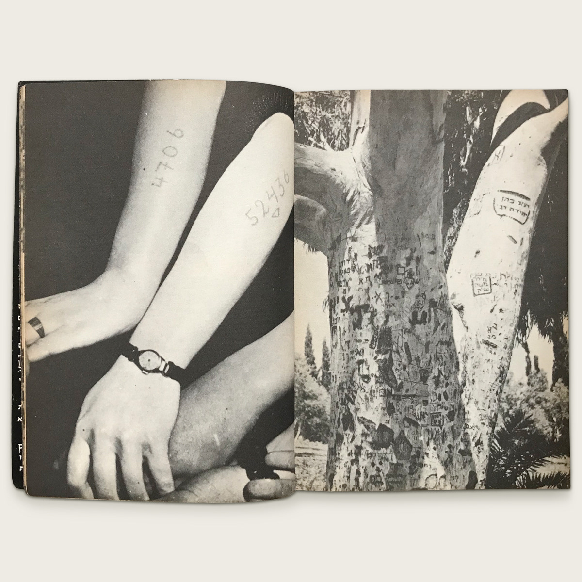 Chris Marker, Petite Planète, 1957