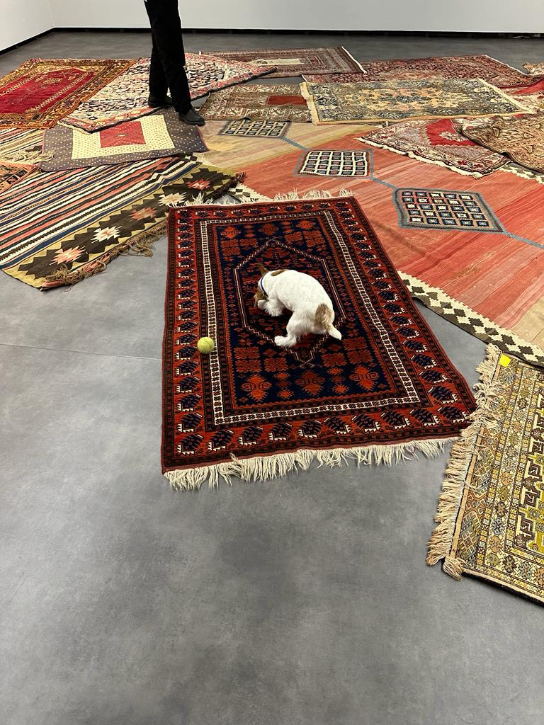 Appleton, Lisbon, 2024