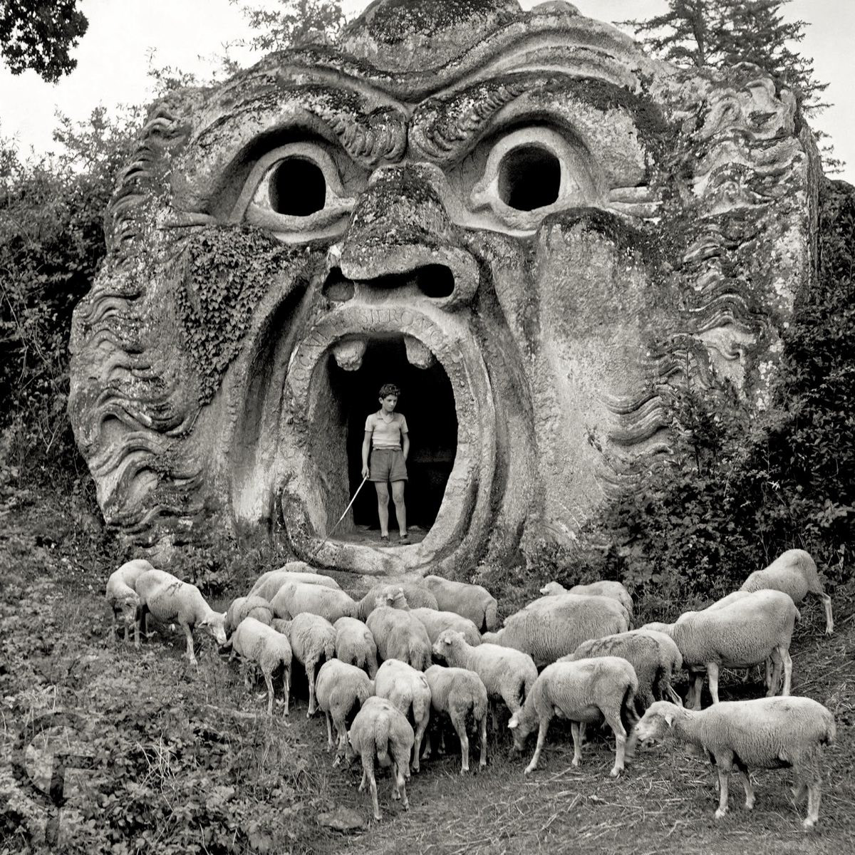 Herbert List, Sacred Grove, Italy, ca. 1952 