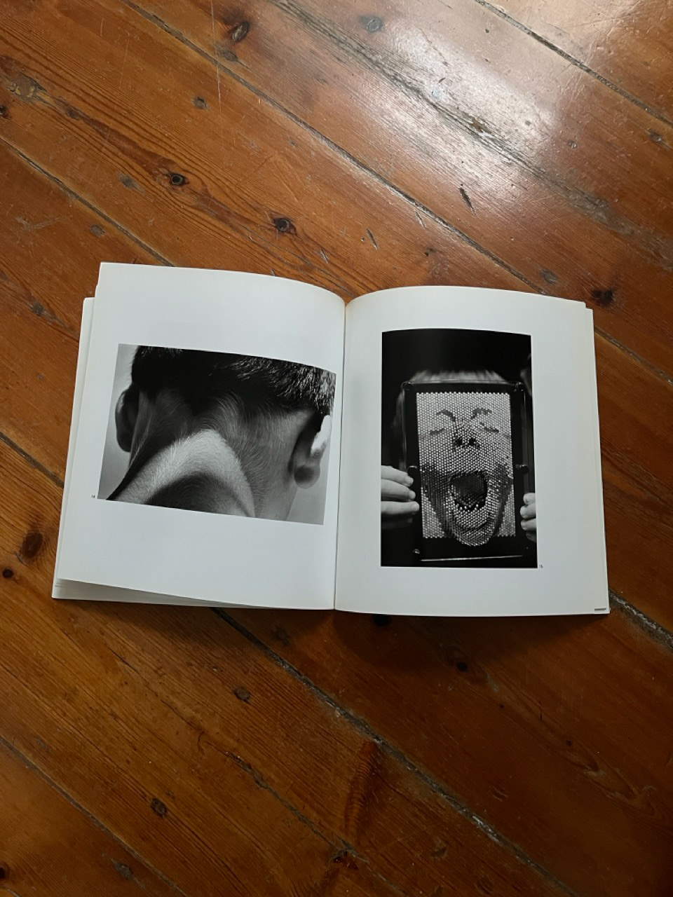 Gérard Castello-Lopes, David, 2001