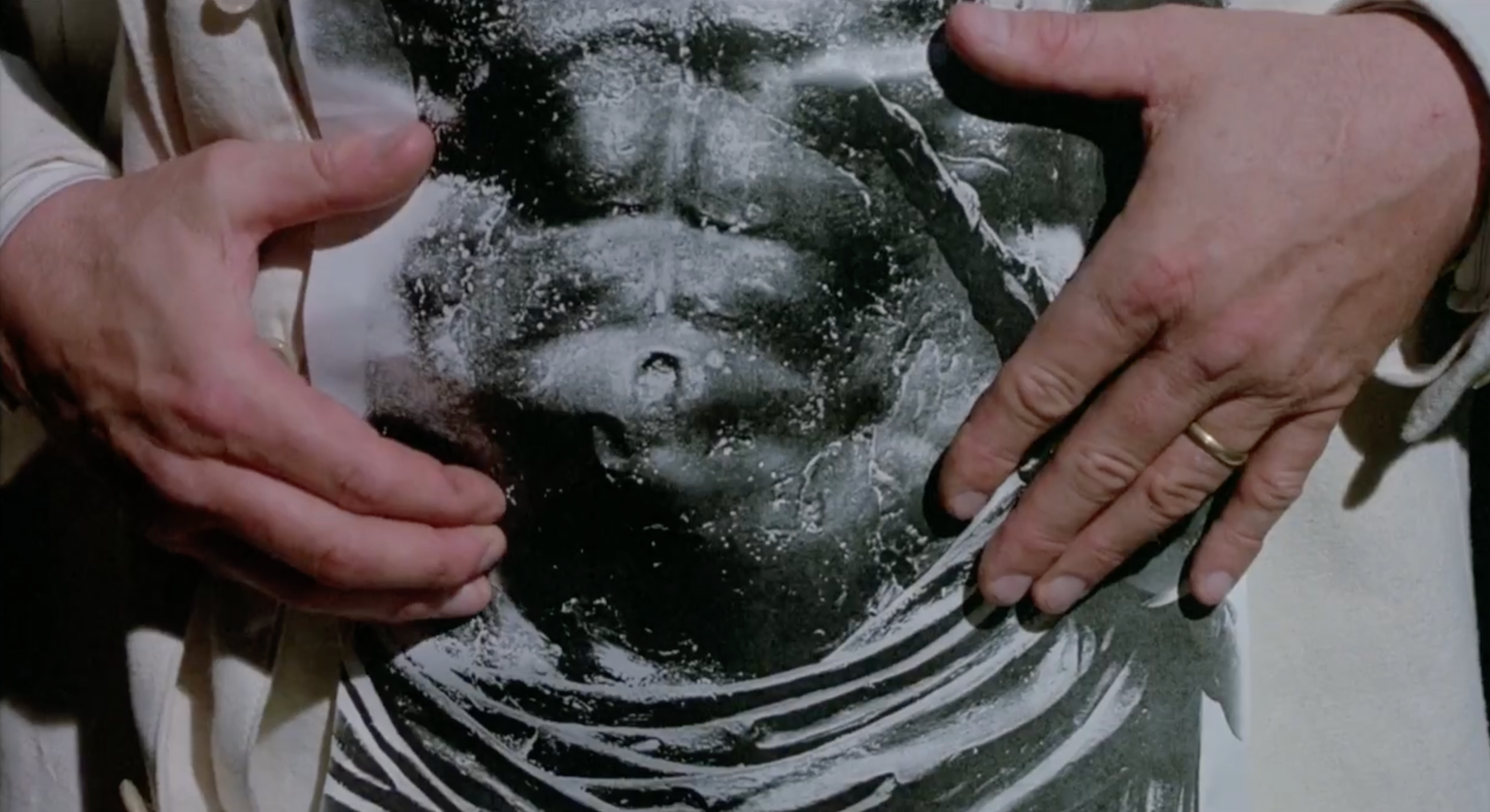Peter Greenway, The Belly of an Architect, 1987