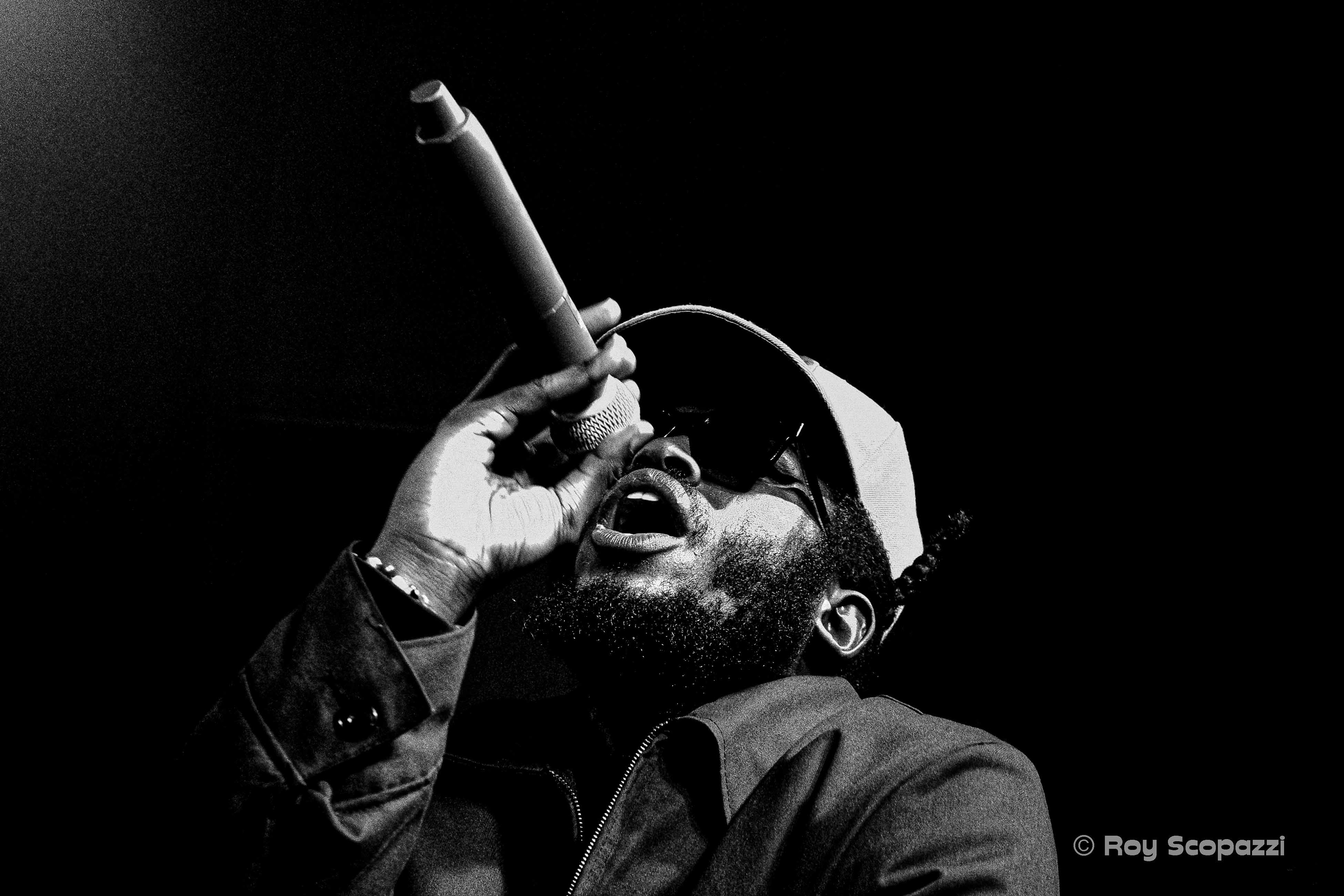 Maxo