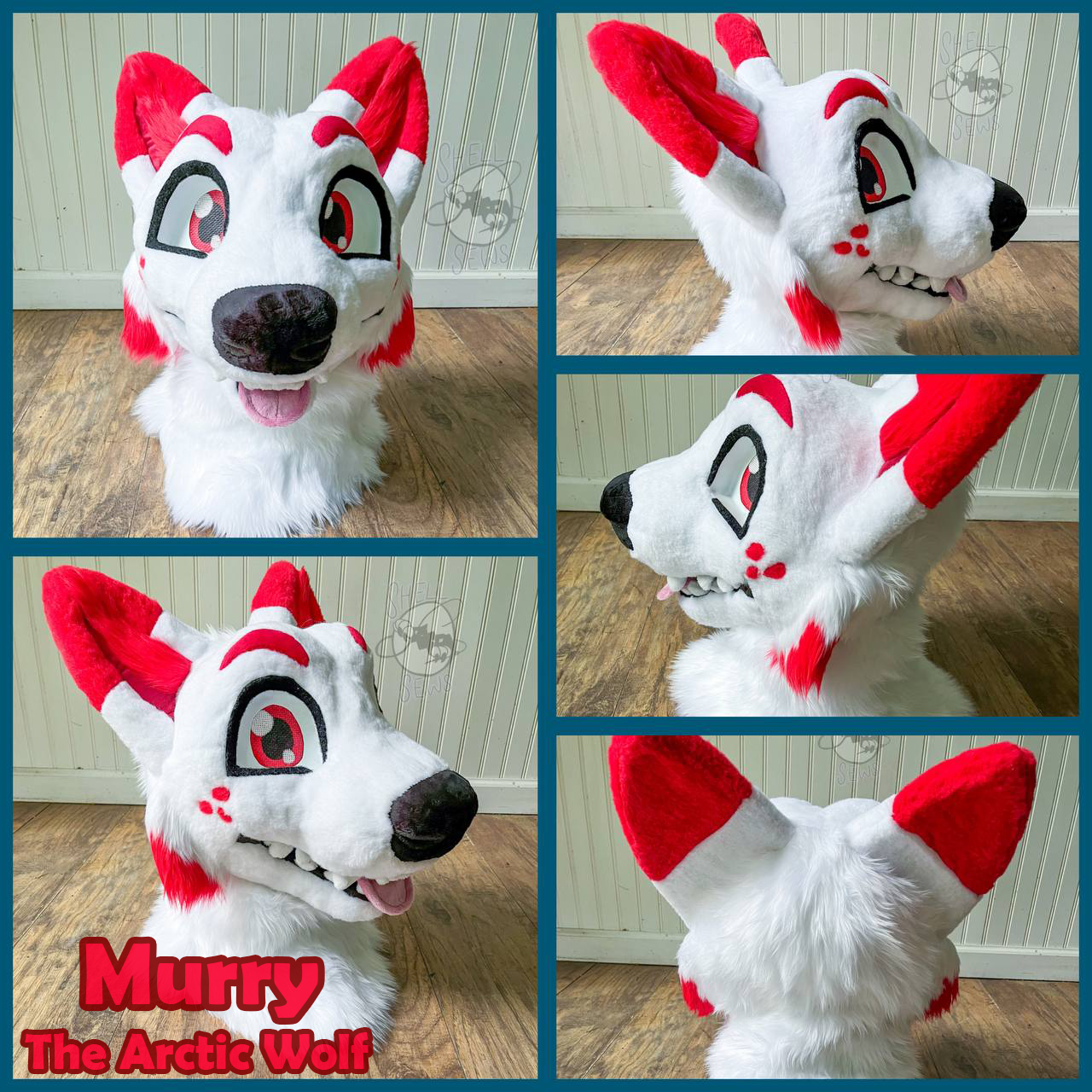 Murry the Arctic Wolf