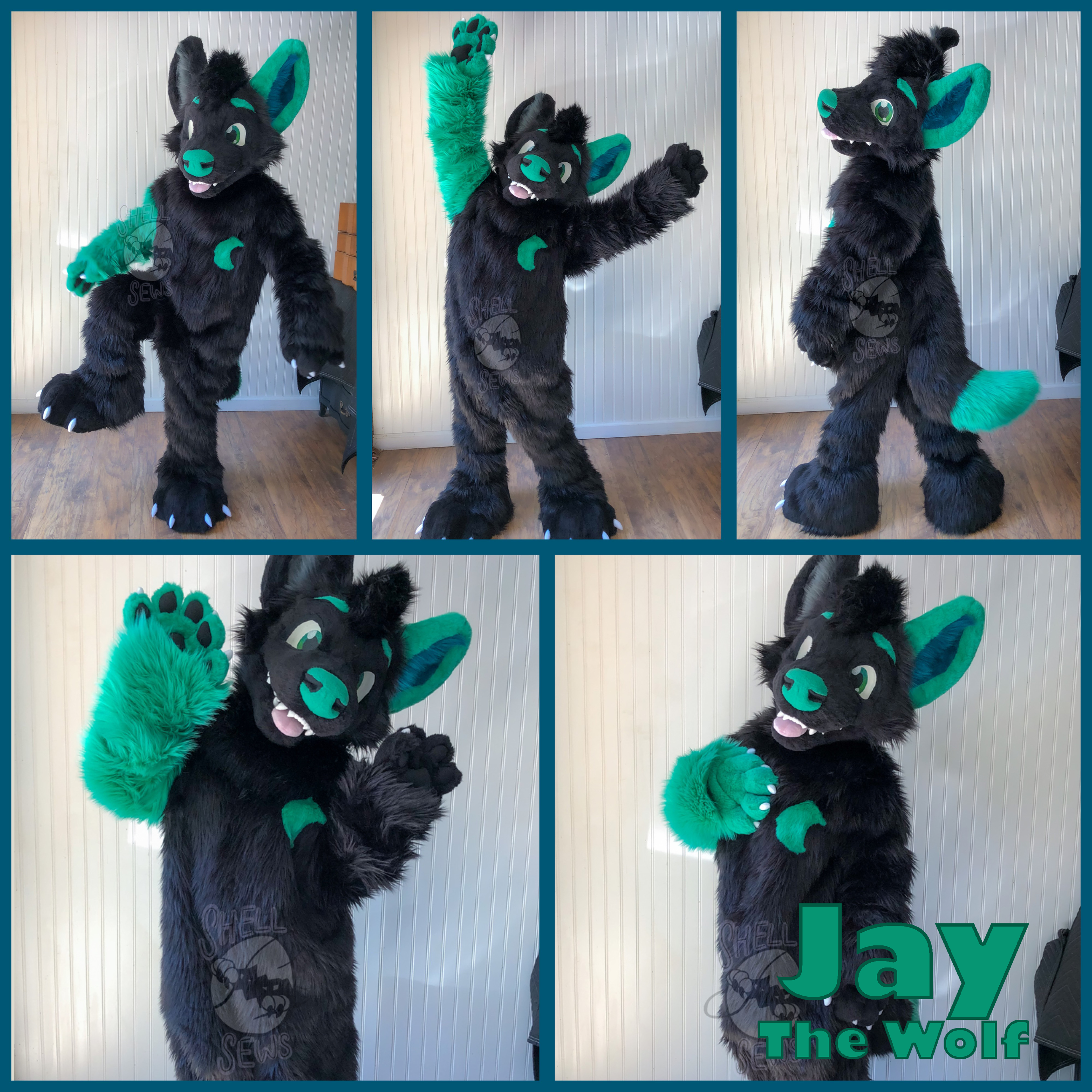 Jay the Wolf