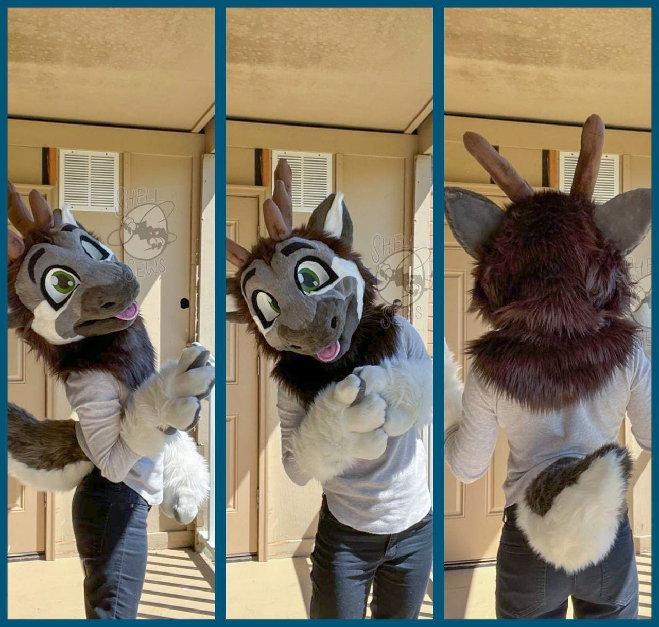 Koda the Caribou