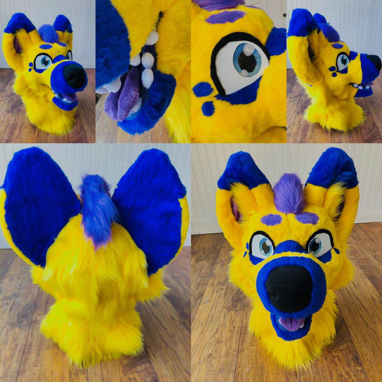 Skyrush the Canine